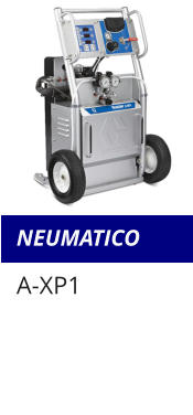 NEUMATICO A-XP1