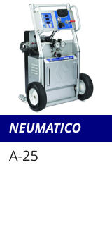 NEUMATICO A-25