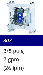 307 3/8 pulg 7 gpm (26 lpm)